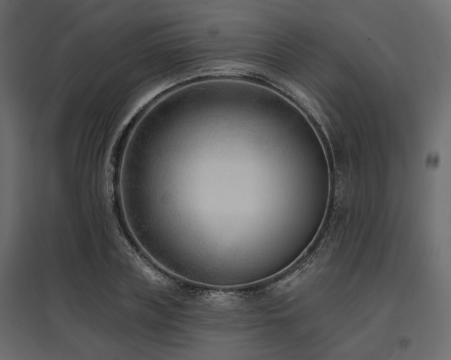 X0000097770835200803071315