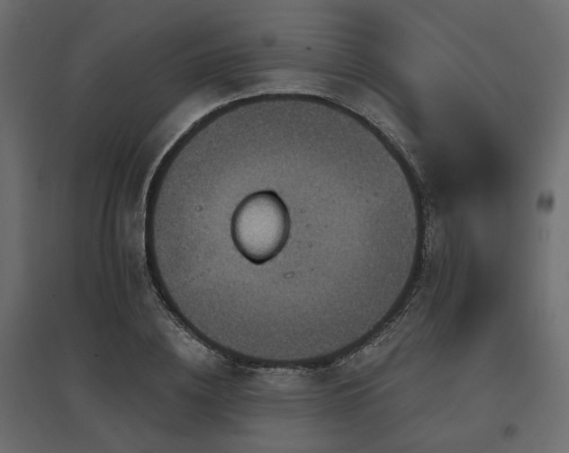 X0000097770836200803071315