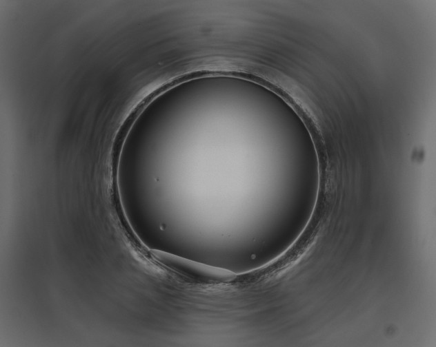X0000097770837200803071315