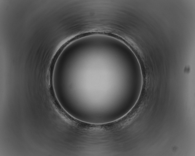 X0000097770838200803071315