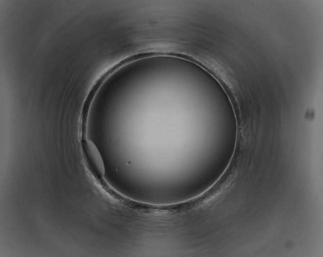 X0000097770839200803071315