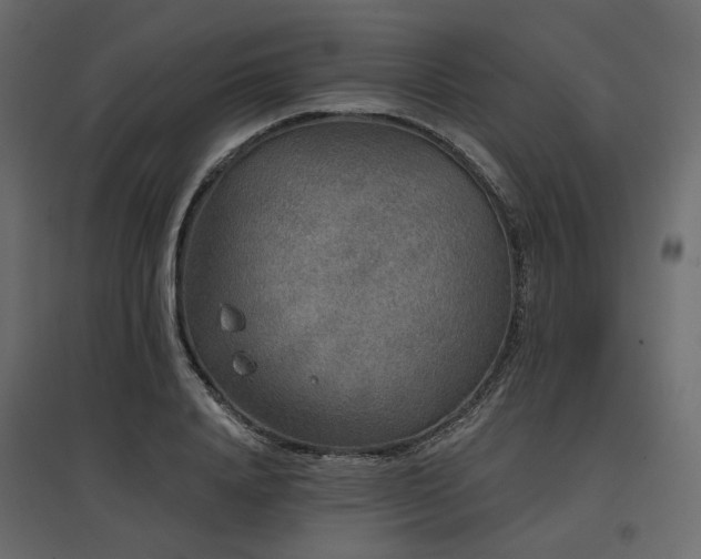 X0000097770840200803071315