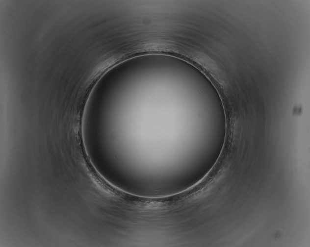 X0000097770841200803071315