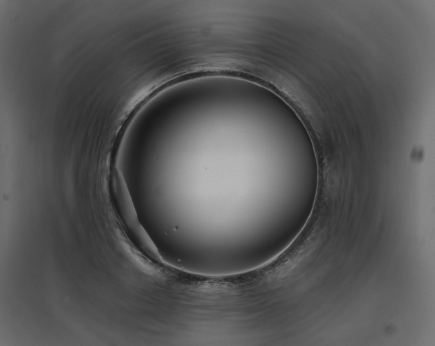 X0000097770842200803071315
