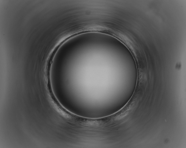 X0000097770843200803071315