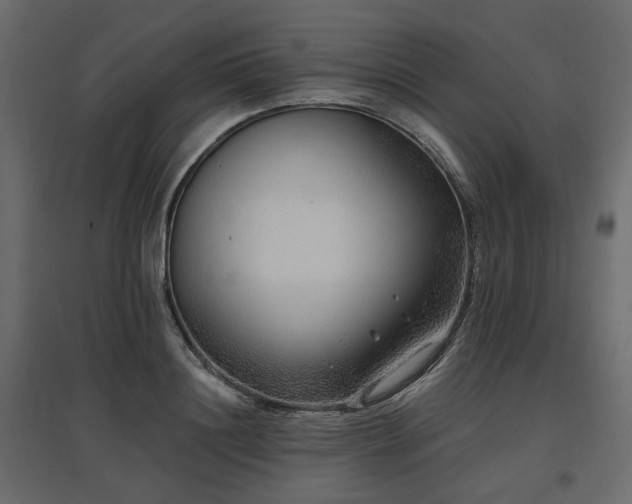 X0000097770844200803071315