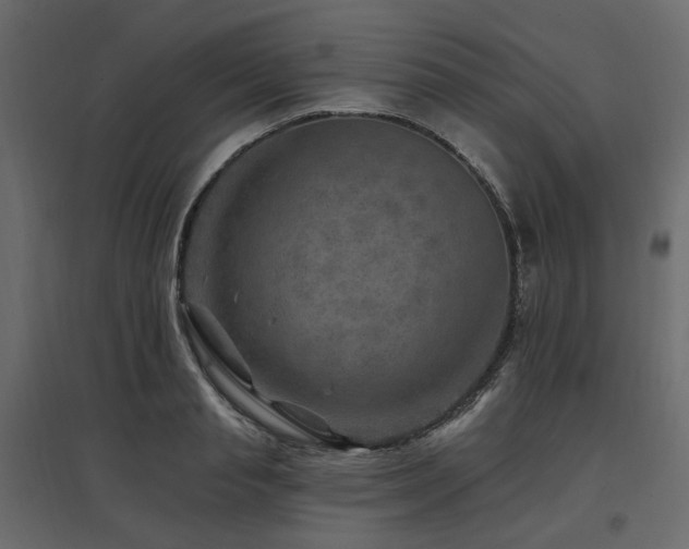 X0000097770845200803071315