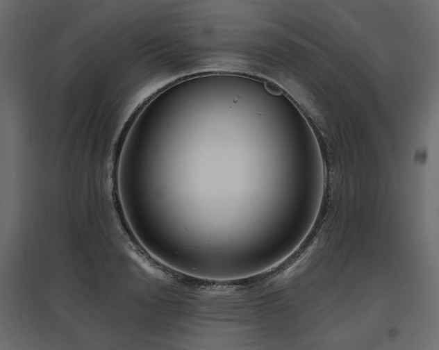 X0000097770846200803071315