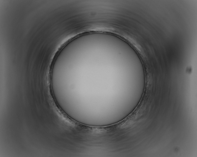 X0000097770848200803071315