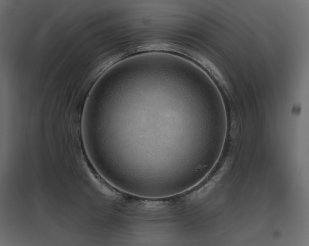 X0000097770849200803071315