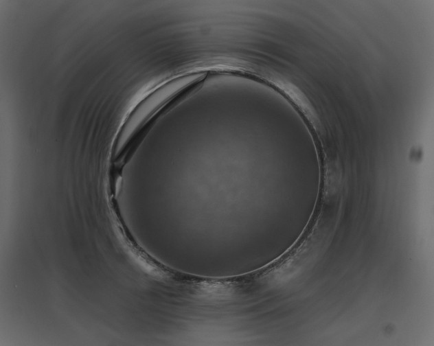 X0000097770850200803071315