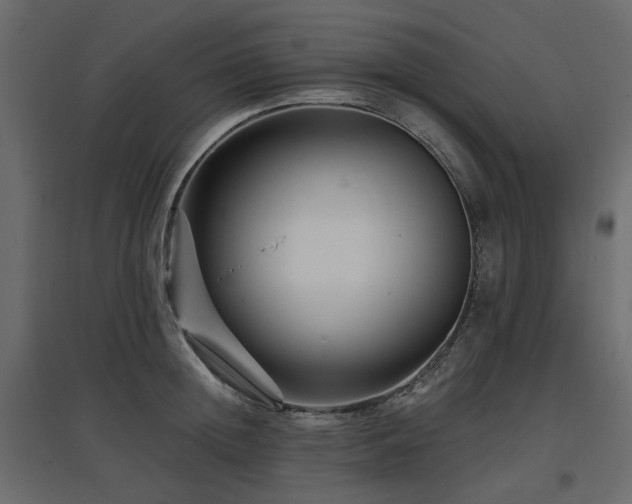 X0000097770852200803071315