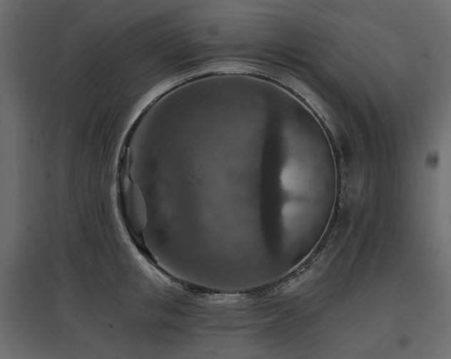 X0000097770853200803071315