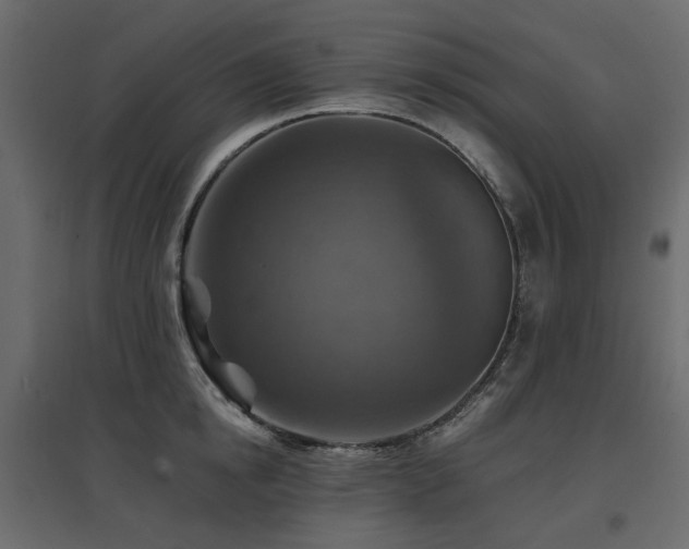 X0000097770854200803071315