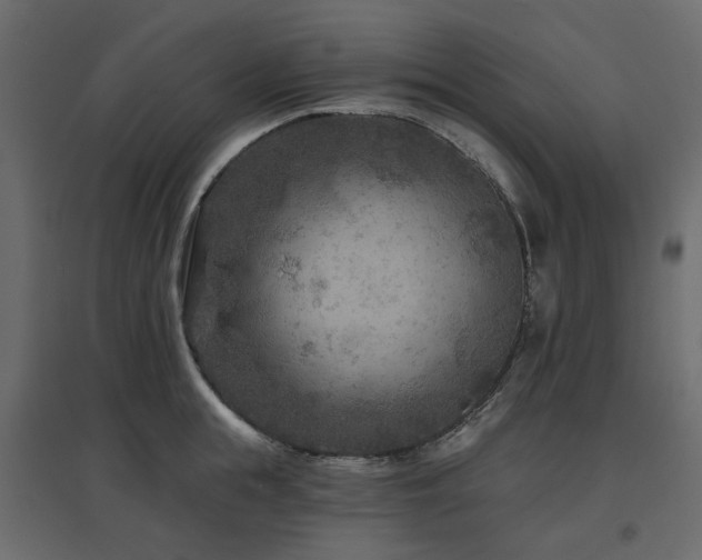 X0000097770855200803071315