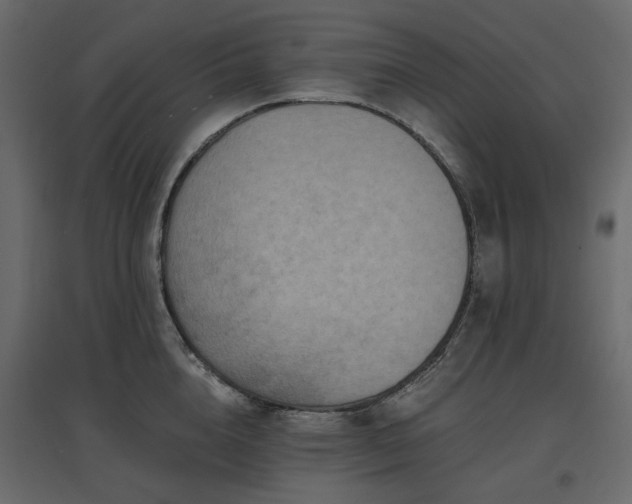 X0000097770856200803071316