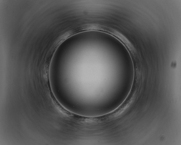 X0000097770857200803071316