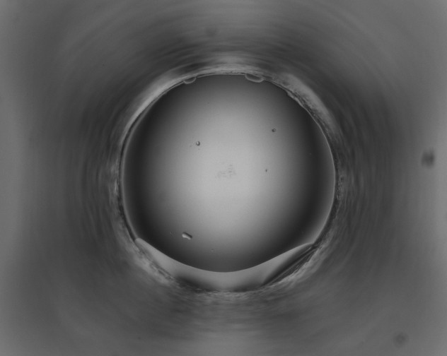 X0000097770860200803071316