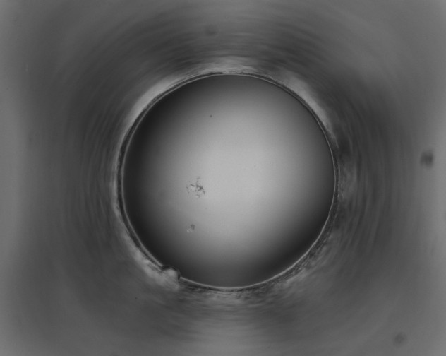 X0000097770861200803071316