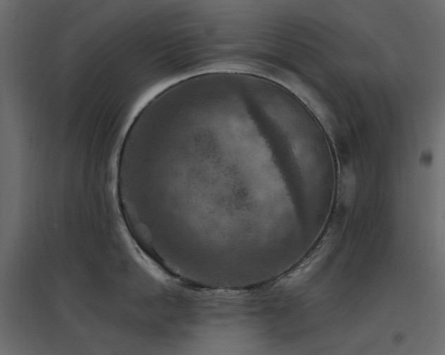 X0000097770862200803071316