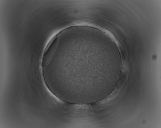 X0000097770863200803071316