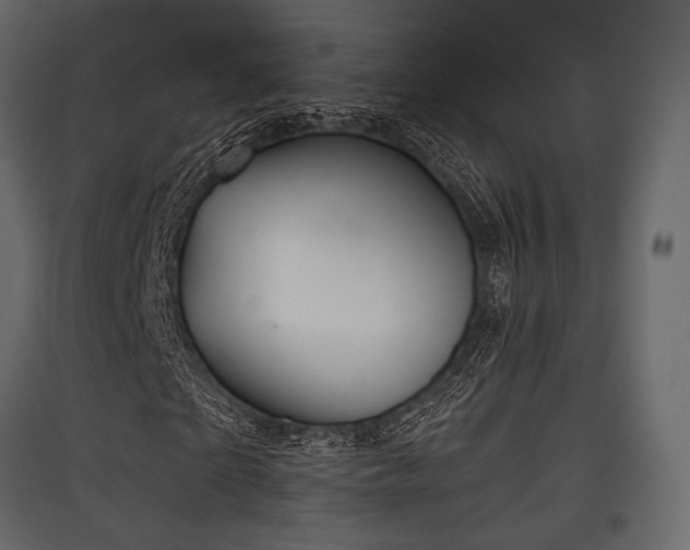 X0000097770865200803071315