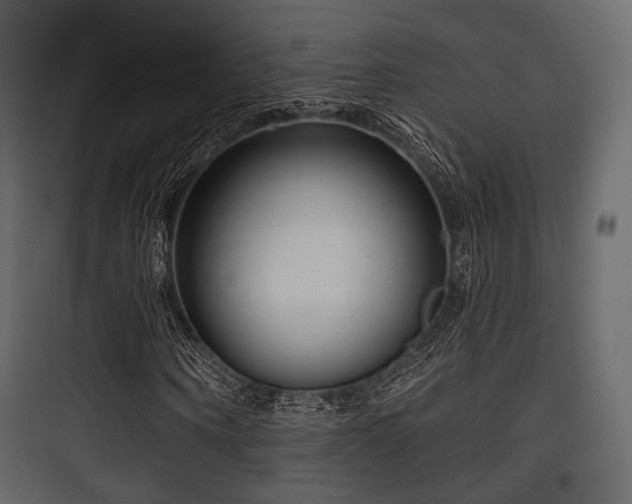 X0000097770866200803071315