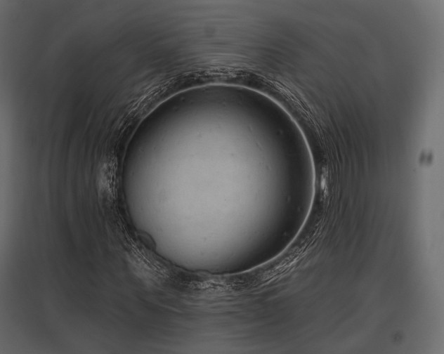 X0000097770867200803071315