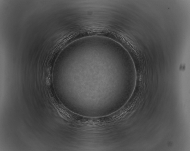 X0000097770868200803071315