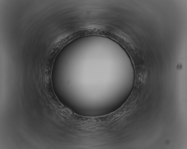 X0000097770869200803071315