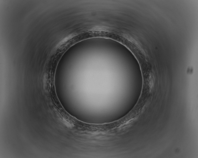 X0000097770870200803071315