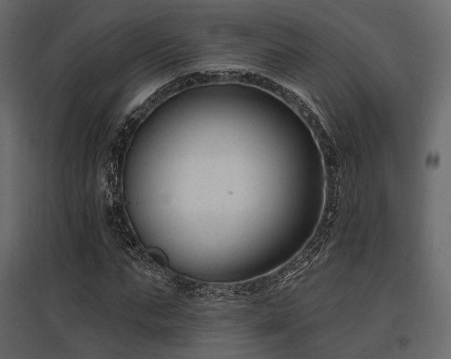 X0000097770871200803071315
