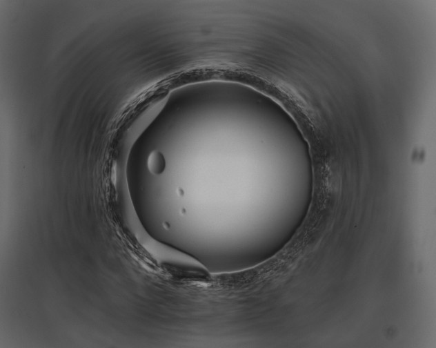 X0000097770872200803071315