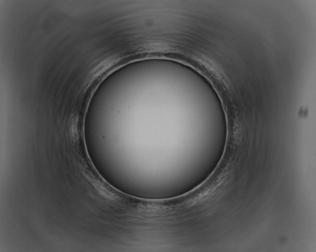 X0000097770873200803071315