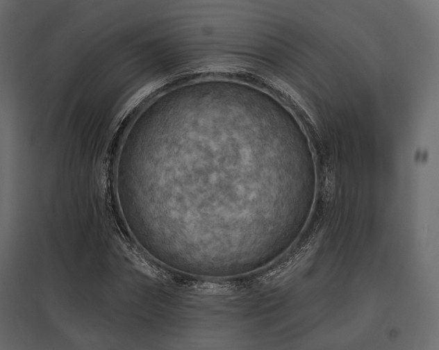 X0000097770874200803071315