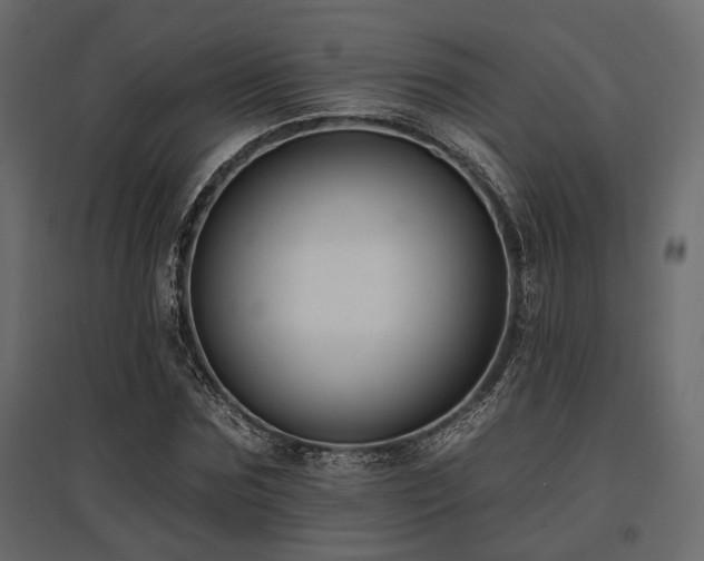 X0000097770875200803071315