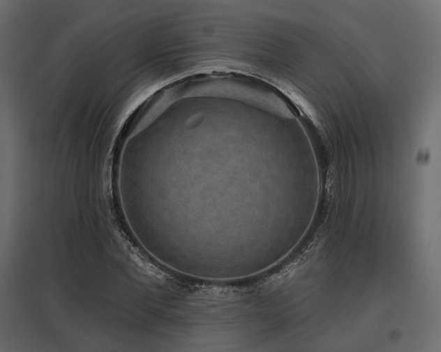 X0000097770877200803071315