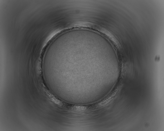 X0000097770878200803071315