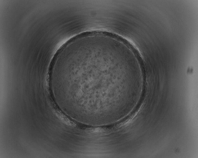 X0000097770879200803071315