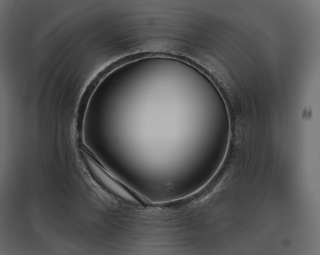 X0000097770880200803071315