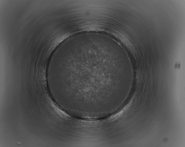 X0000097770881200803071315