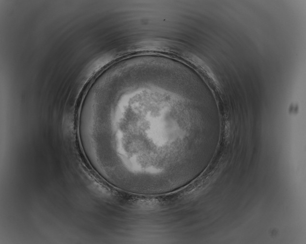 X0000097770882200803071315