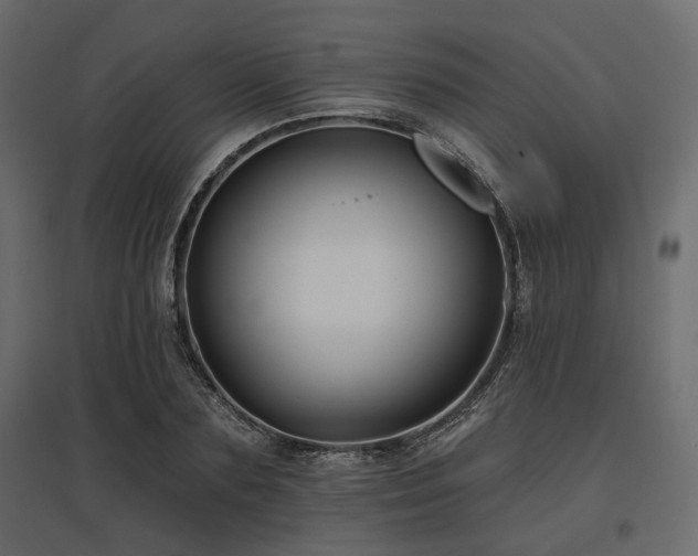 X0000097770883200803071315
