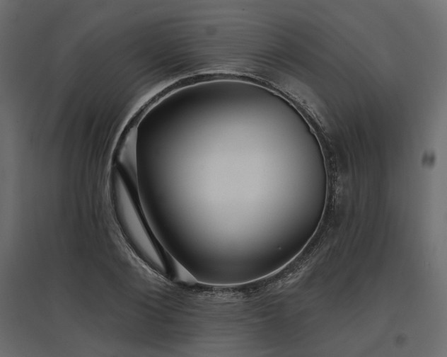 X0000097770884200803071315