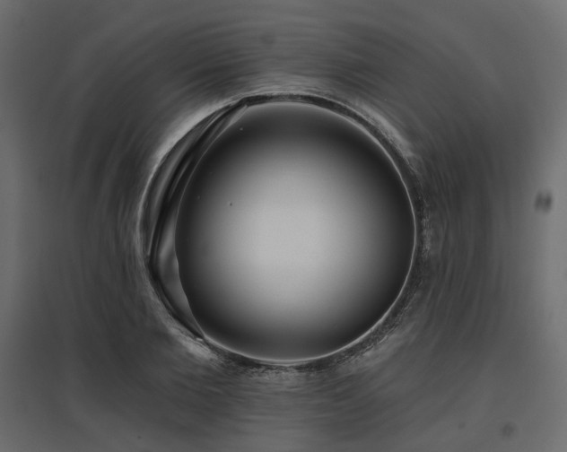 X0000097770885200803071315