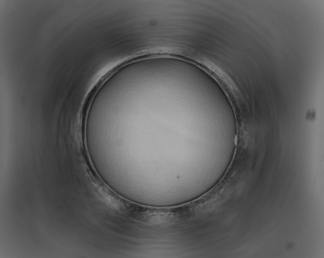 X0000097770886200803071315
