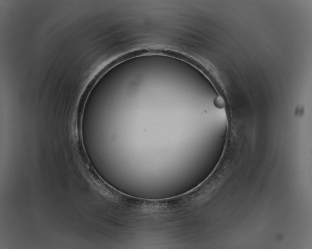X0000097770887200803071315