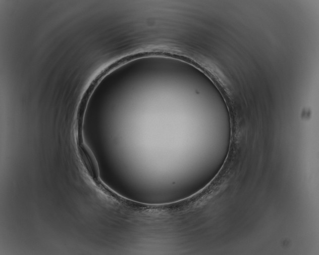 X0000097770888200803071315