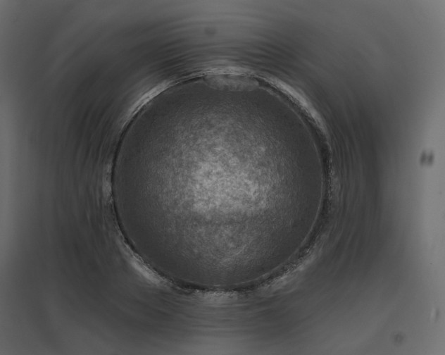 X0000097770889200803071315