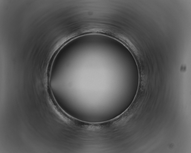 X0000097770890200803071315
